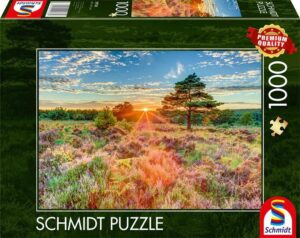 Heide im Sonnenuntergang